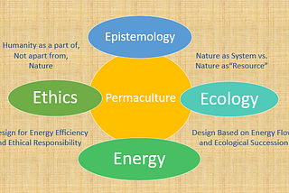 Regeneration: Three Needs, Three Initiatives, Three Constituencies