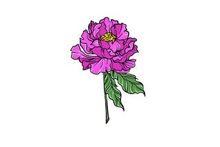 How to draw a peony