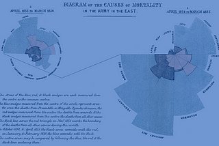 What Florence Nightingale can teach nonprofits about telling better stories (through pictures)