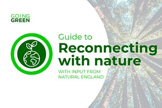 Guide to Reconnecting with Nature