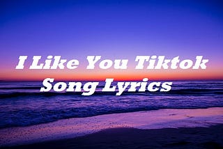 I Like You Tiktok Song Lyrics