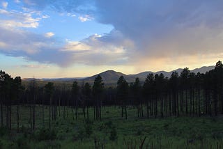 A Reflection on My Connection to Nature