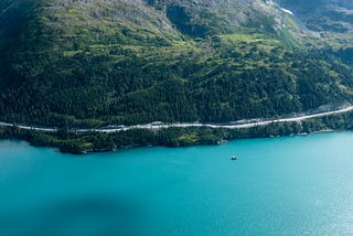 Alaska: 8000 miles and 18 bears later. Chapter 2: Anchorage in a heat wave.