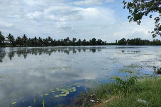 Alleppey Chronicles: Navigating the Dynamic Journey of the Pais’-1