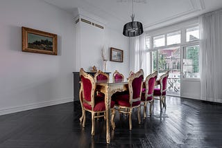 Dina-Perla Portnaar: The refinement of our capacity to see