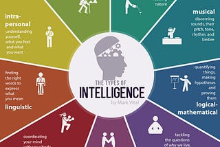 How schools should provide education for different types of intelligence