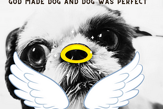 Photo of dog with halo as nose and angel wings as whiskers. Title God made dog and dog was perfect