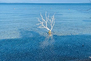 Reasons for Choosing Toxic Relationships