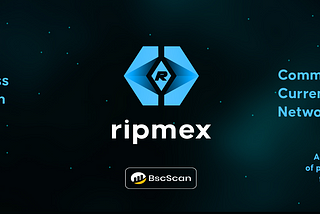 Real Time gross Payment system Commission-Free Currency Exchange Network