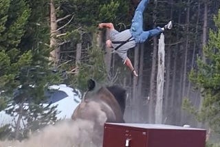 Yellowstone’s Flying Grandpa: Why an Angry Bison Turned One Tourist Into an Accidental Astronaut