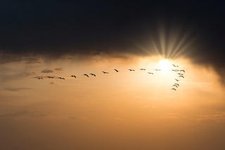A flock of birds flying in V-formation toward the sun, symbolizing cooperation, shared leadership, and collective strength