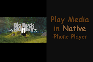 Media Playback with iPhone’s Native Media Controller