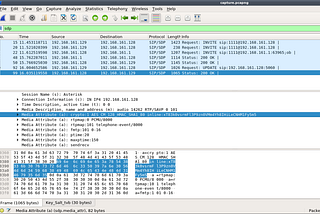 SINCON Wonderland CTF — VoIP Security (Points: 200)