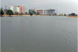 The Unknown Truth About the Kundalahalli Lake Park