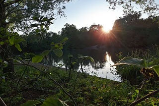 Walking the Capital Ring