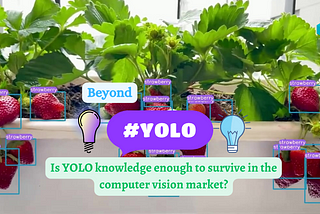 Beyond YOLO: Thriving in Computer Vision Market