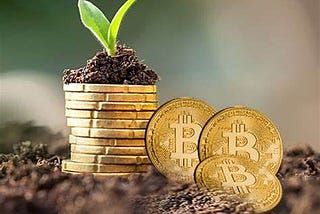 GrowBits: Gardening with Bitcoin