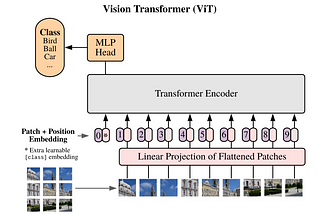 Fine Tuning Pytorch ViT for CIFAR10
