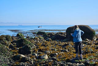 Highway 101, scenic byway to angling adventure