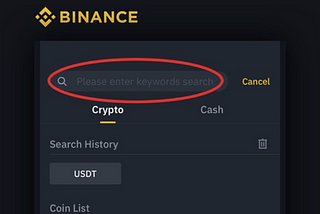 How to withdraw BUSD-T on Binance Smart Chain?