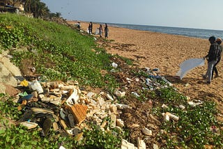 Have any idea how to conduct a beach cleanup?