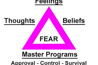 Understanding FEAR and Its Master Program Control Program