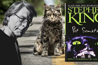 Critiquing Stephen Kings Pet Sematary