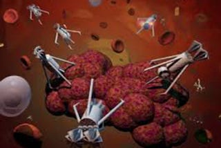 Nanorobotics for Biomedicine: Delivery, Surgery, Sensing, and Detoxification