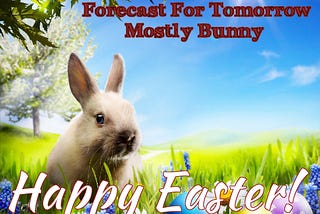 Forecast For Tomorrow; Mostly Bunny!