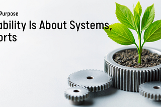 Sustainability Is About Systems, Not Reports