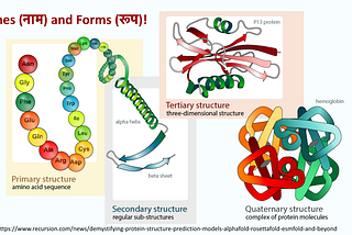 From AlphaFold to ESM3: The Era of Programmable Biology