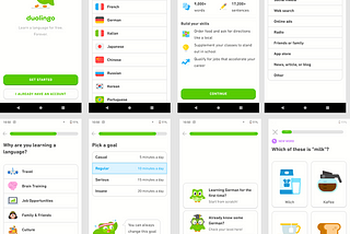 DuolingoWireframe Challenge