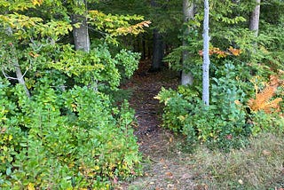 The entrance to Gordon 18 off of Gull pond trail