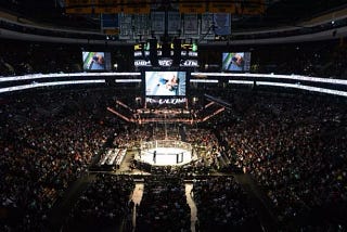 How a UFC Comm Strategy Made us Stop Worrying About Domestic Violence