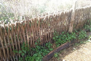 Raised Beds, Vertical Beds, and Permaculture, Oh My.