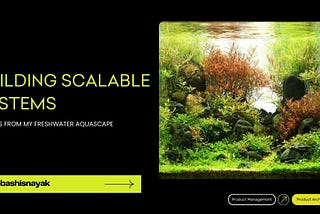 Building Scalable Systems: Lessons from My Freshwater Aquascape