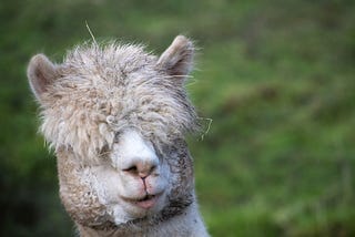 Run Llama 2 on Your CPU with Rust