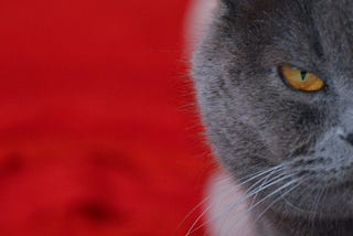 25 Random Things That Irritate Me More Than I Can Say