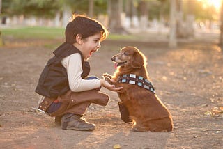Reasons why pets are good for children
