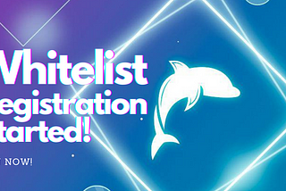 Whitelist Registration Is Open Now!