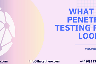 What does a penetration testing report look like?