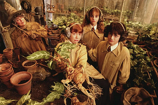 Some Of The Most Fantastic Plants From The Harry Potter Universe