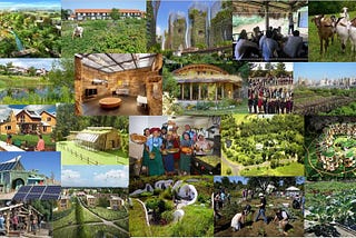 How do Intentional Communities Last and Thrive and allow Regeneration