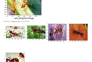 Reverse Image Search using ResNet-50