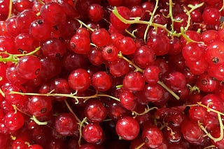 Redcurrant Jelly: A British Favorite and a Delicious Addition to Festive Meals