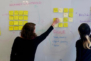 Improving Organizational Capacity and Leadership through Agile Coaching