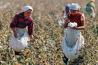 Cotton: The Silent Killer