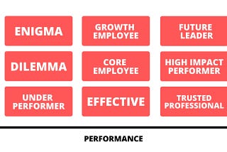 How-to Guide: 9-Box & Leadership Competency Model