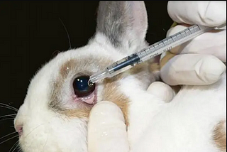 The Ethical Dilemma of Animal Testing: A Challenge for the Healthcare and Beauty Industries