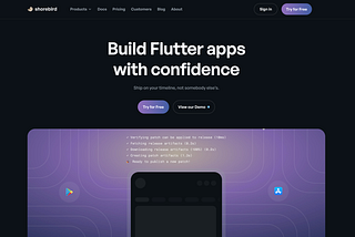 Shorebird — Hidden Gem for Flutter